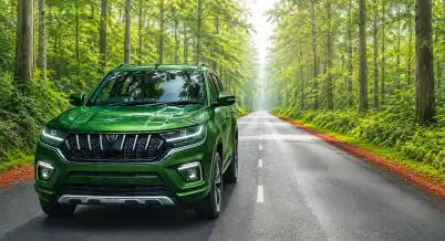 Vehicle loan background
